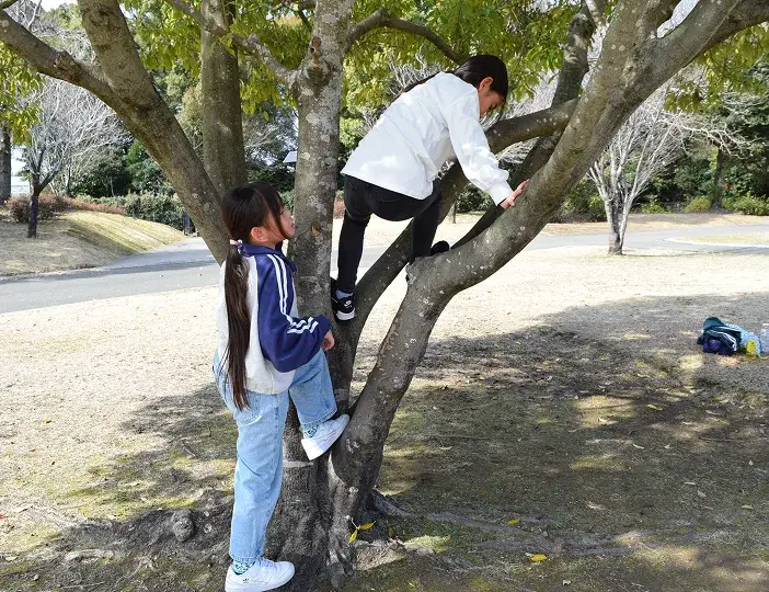 自然の中で木登りをしながら身体の動かし方を学ぶ様子